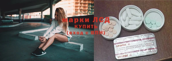 эйфоретик Гусь-Хрустальный