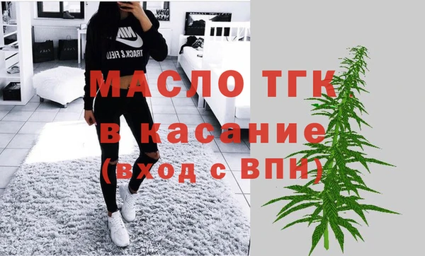 шишки Гусев