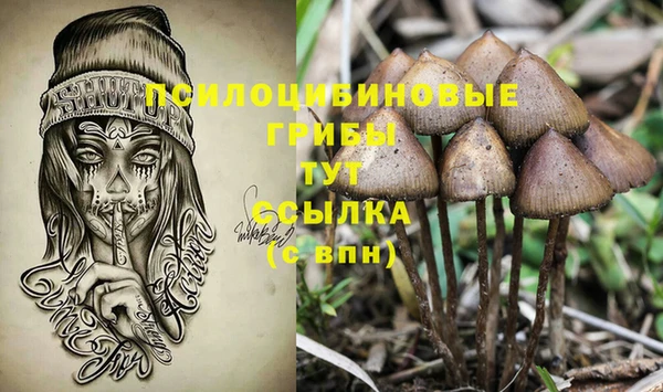 не бодяженный Мегион