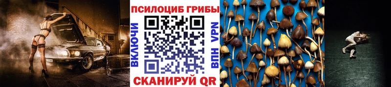 где продают   Шлиссельбург  Галлюциногенные грибы мухоморы 